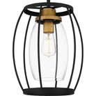 Quoizel - Thyme Mini Pendant - Lights Canada