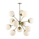Trend - Solea Chandelier - Lights Canada