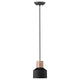 Trend - Ingo Pendant - Lights Canada
