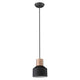 Trend - Ingo Pendant - Lights Canada