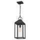 Quoizel - Thorpe Mini Pendant - Lights Canada