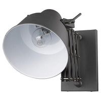 Plexus Sconce