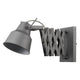 Trend - Plexus Sconce - Lights Canada