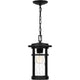 Quoizel - Uma Outdoor Pendant - Lights Canada