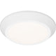 Quoizel - Verge Flush Mount - Lights Canada