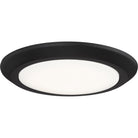 Quoizel - Verge Flush Mount - Lights Canada