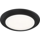 Quoizel - Verge Flush Mount - Lights Canada