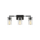 Generation Lighting - Ansley Vanity Light - Lights Canada