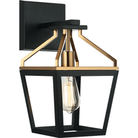 Mavonshire 1-Light Wall Sconce