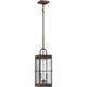 Quoizel - Ward Outdoor Pendant - Lights Canada