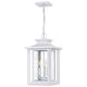Quoizel - Wakefield Outdoor Pendant - Lights Canada
