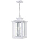 Quoizel - Wakefield Outdoor Pendant - Lights Canada