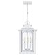 Quoizel - Wakefield Outdoor Pendant - Lights Canada