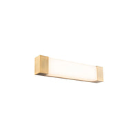 Darcy 24" LED Bath Vanity & Wall Light