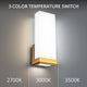dweLED - Coltrane 14" LED Wall Sconce - Lights Canada