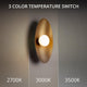 dweLED - Glamour 18" LED Wall Sconce - Lights Canada