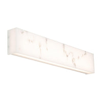 Museo 28" LED Bath Vanity & Wall Light