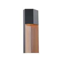 Dusk 20" LED Indoor/Outdoor Wall Light