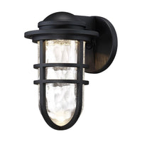 Steampunk 9.5" LED Indoor/Outdoor Wall Light