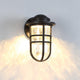 dweLED - Steampunk 9.5" LED Indoor/Outdoor Wall Light - Lights Canada
