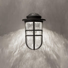dweLED - Steampunk 9.5" LED Indoor/Outdoor Wall Light - Lights Canada