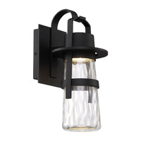 Balthus 14" LED Indoor/Outdoor Wall Light