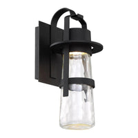 Balthus 16" LED Indoor/Outdoor Wall Light