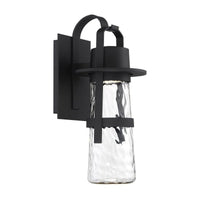 Balthus 21" LED Indoor/Outdoor Wall Light