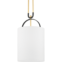 Campbell Hall 1 Light Pendant
