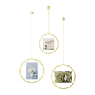 Umbra - Fotochain Circular Photo Display (Set of 3) - Lights Canada