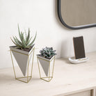 Umbra - Trigg Tabletop Vessels (Set of 2) - Lights Canada