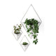 Umbra - Trigg Wall Display - Lights Canada