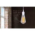 Canarm - Canarm Edison Bulb - Lights Canada