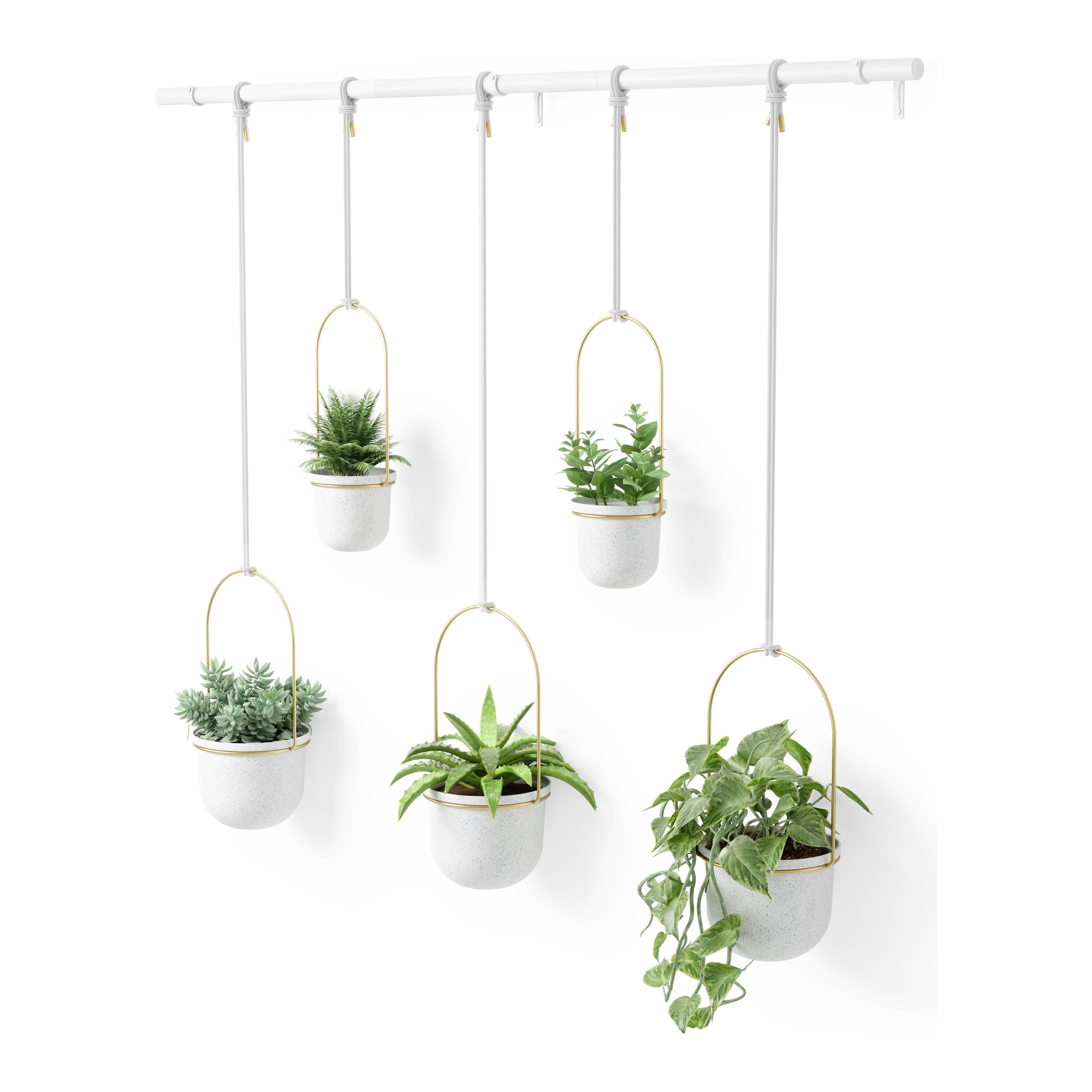 Umbra - Triflora Hanging Planter (Set of 5) - Lights Canada