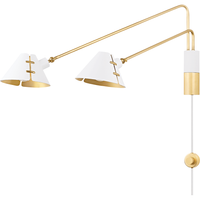 Split 2-Light Swing Arm