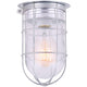 Canarm - Outdoor Barn Ceiling/Wall Light - Lights Canada