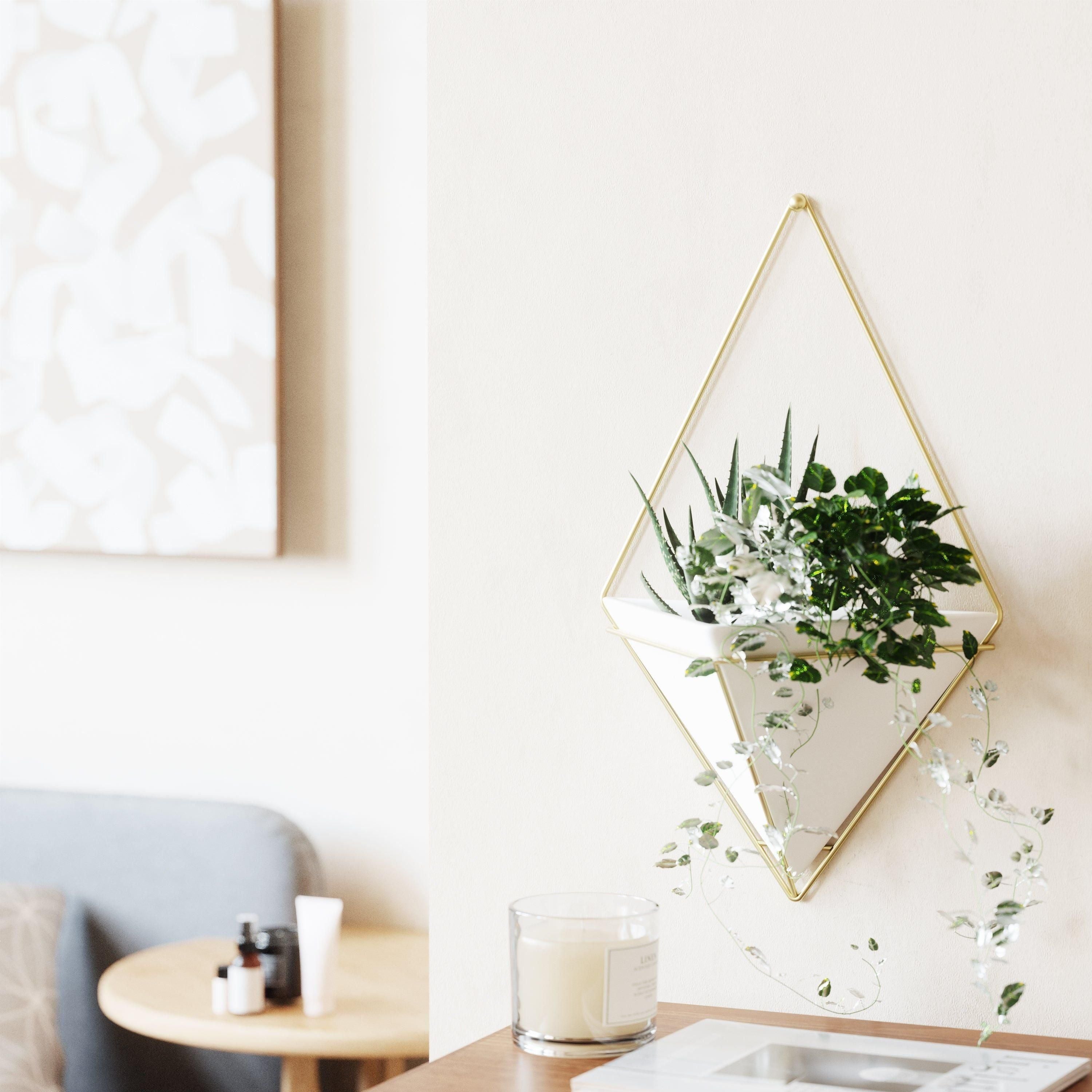 Umbra - Trigg Wall Display - Lights Canada