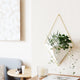 Umbra - Trigg Wall Display - Lights Canada