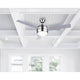 Canarm - Calibre Ceiling Fan - Lights Canada