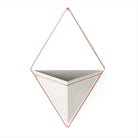 Umbra - Trigg Wall Display - Lights Canada