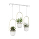 Umbra - Triflora Hanging Planter - Lights Canada