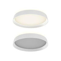 Dual-Light Dimmable Led Flush Mount