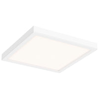 Indoor/Outdoor Led Flush Mount