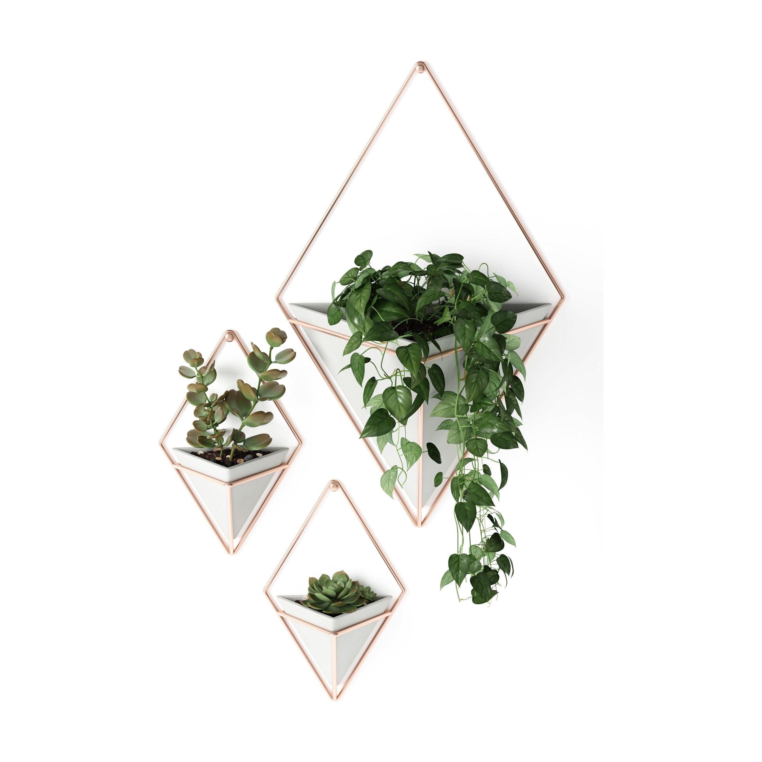 Umbra - Trigg Wall Display - Lights Canada