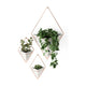 Umbra - Trigg Wall Display - Lights Canada