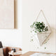 Umbra - Trigg Wall Display - Lights Canada