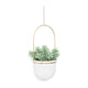 Umbra - Triflora Hanging Planter (Set of 5) - Lights Canada