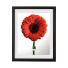 Umbra - Document Picture Frame - Lights Canada