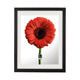 Umbra - Document Picture Frame - Lights Canada