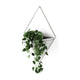 Umbra - Trigg Wall Display - Lights Canada